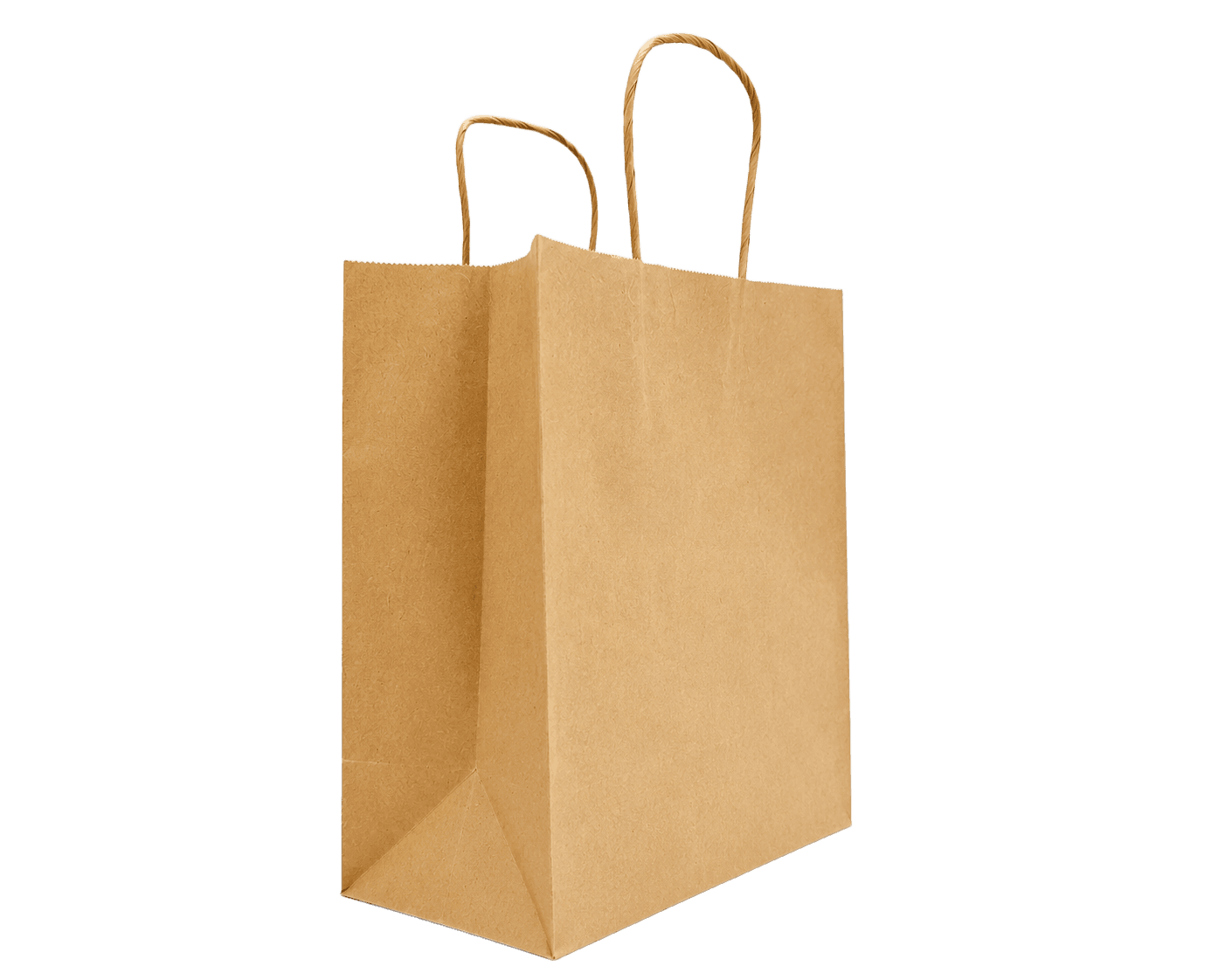 Twisted Handle Bags